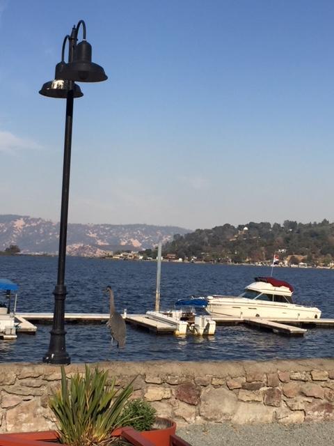 Clear Lake Vista Resort Kelseyville Exterior foto